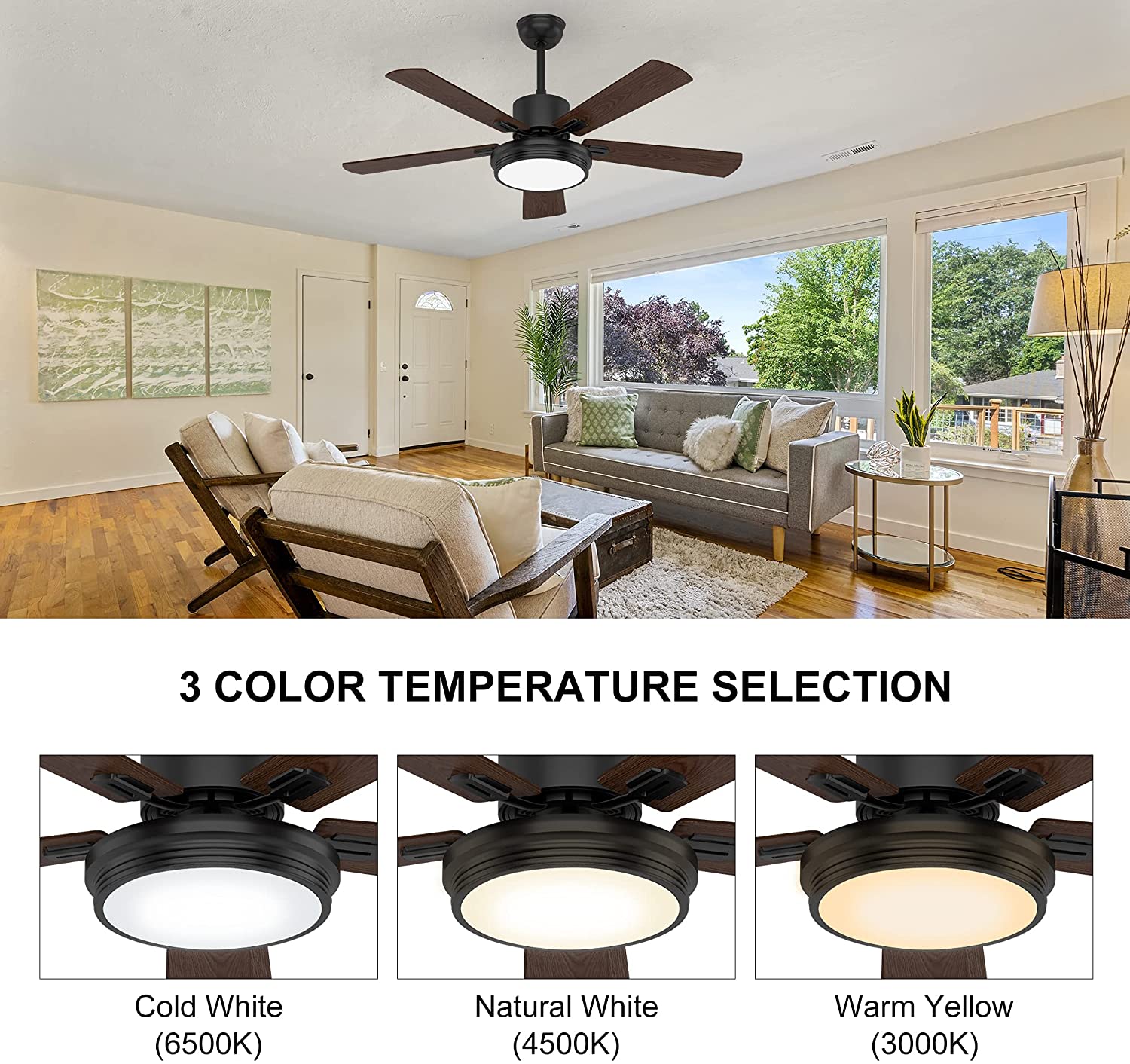 81KcX9i6sxL._AC_SL1500_ 81KcX9i6sxL._AC_SL1500_